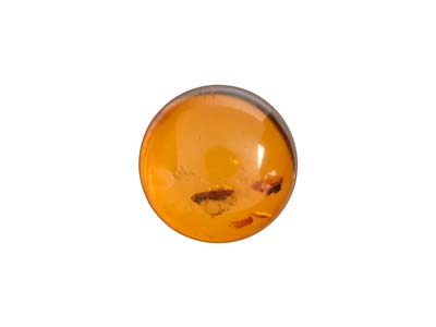 Natural Amber, Round Cabochon, 8mm - Standard Image - 1